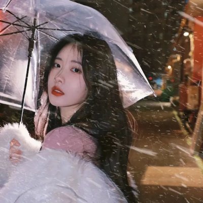 蒙古王